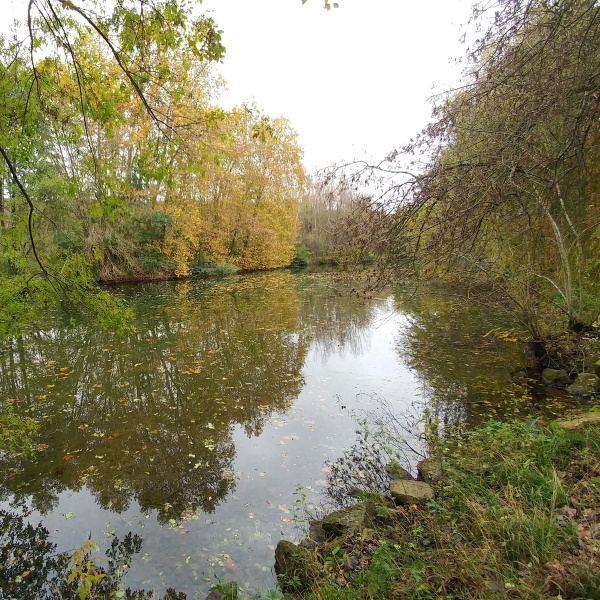 Les berges de la Charente en automne offre un paysage romantique à Cognac