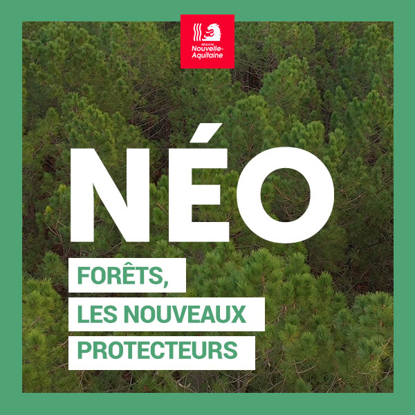 Néo Forêts, les nouveaux protecteurs