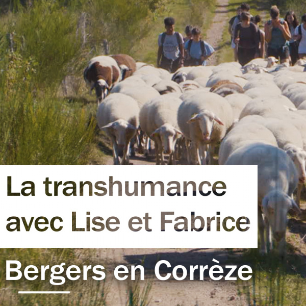 La transhumance avec les bergers Lise et Fabrice|Néo, le portrait