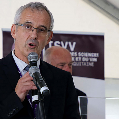 Les 10 ans de l'Institut des sciences de la vigne et du vin (ISVV)