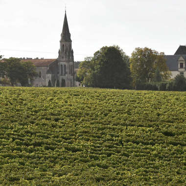 “Cluster ruralité”, un levier innovant pour les territoires