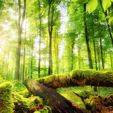 Changement climatique : l’anticipation, une base pour agir