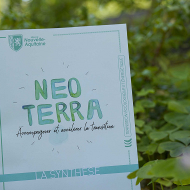 Transition écologique : participez à la stratégie régionale Néo Terra