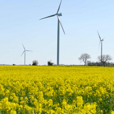 Substituer les énergies fossiles par les énergies renouvelables