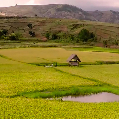 Coopération Nouvelle-Aquitaine Madagascar : témoignage