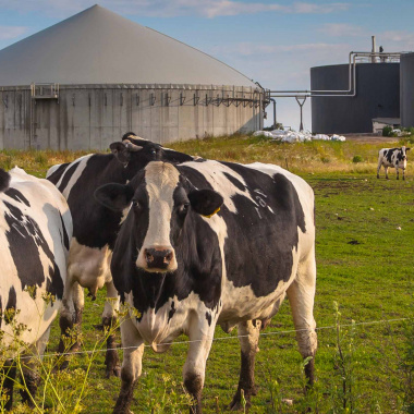 La méthanisation ou comment recycler des déchets en énergie