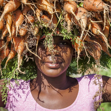  « Haïti, un autre regard », exposition de photographies