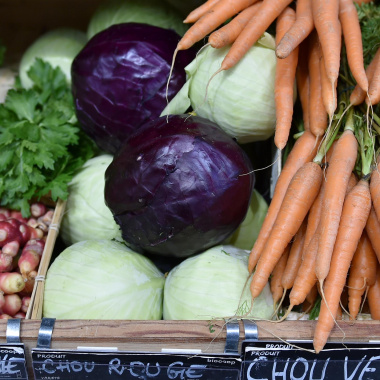 Agriculture bio : la forte progression en Nouvelle-Aquitaine