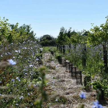 Nouvelle mandature : accélérer la transition écologique 