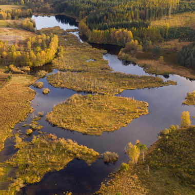 Deux appels à projets pour les zones humides et la biodiversité