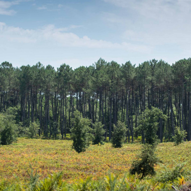 Biodiversité : la Région accompagne les sites Natura 2000 