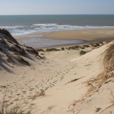 Lutter contre l’érosion côtière à Lacanau et à Soulac-sur-Mer