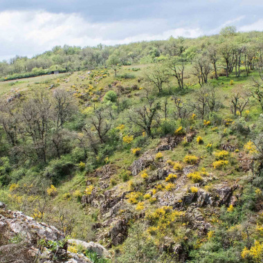 RNR, des espaces de biodiversité soutenus par la Région
