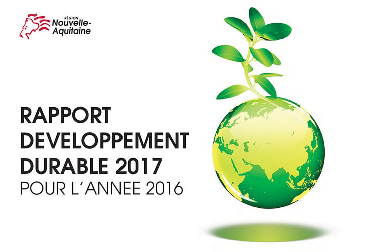 Rapport développement durable 2017