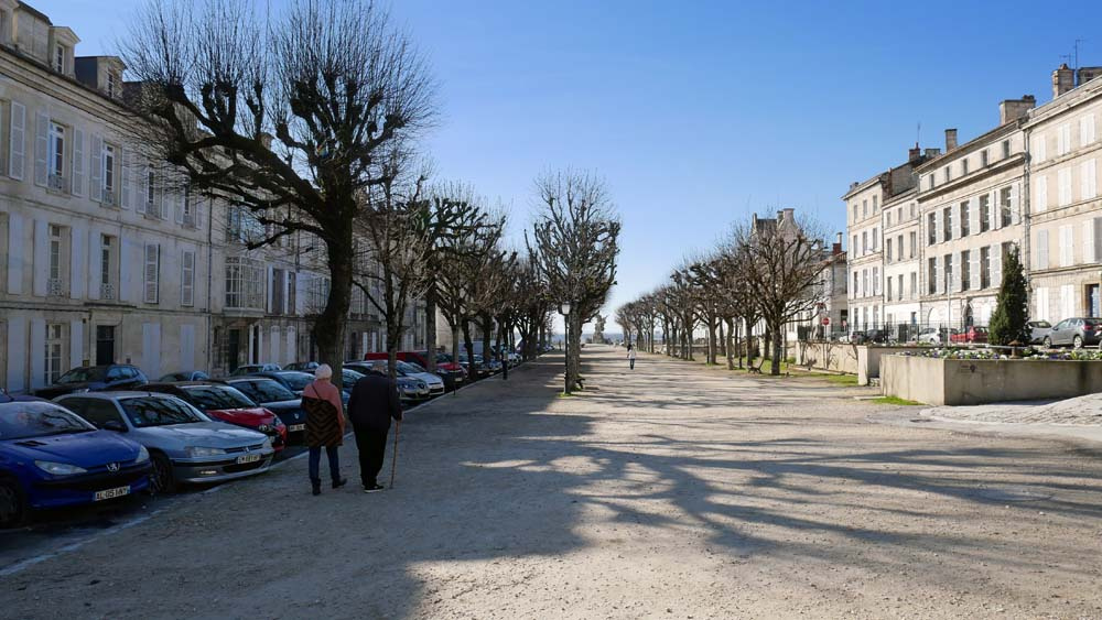 La place New-York, et ses arbres rescapés