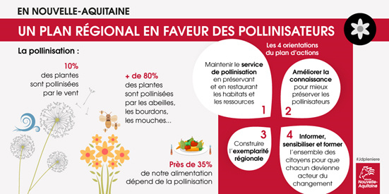 Infographie Plan Pollinisateurs