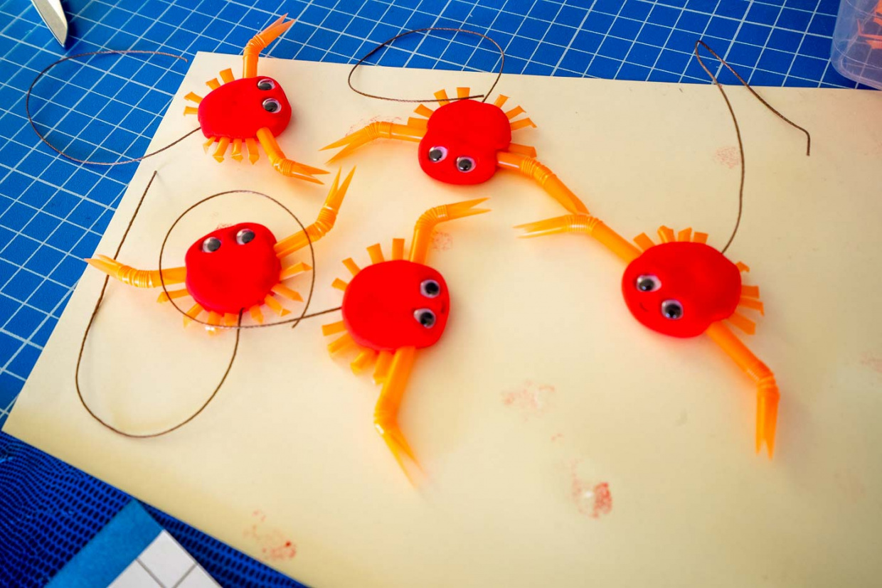 Les crabes en Patarev - Mes mains en or 