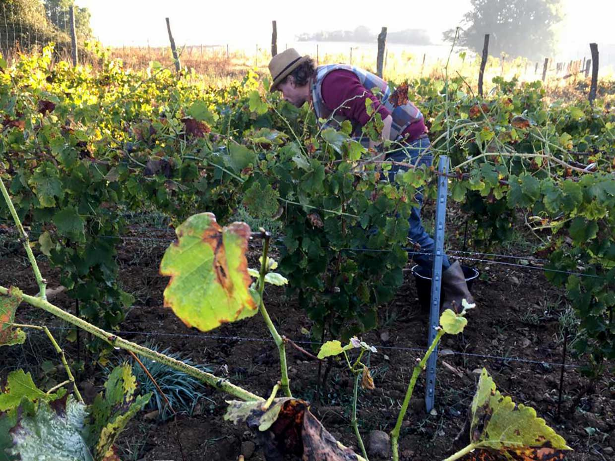 Photo de Paysages nourriciers