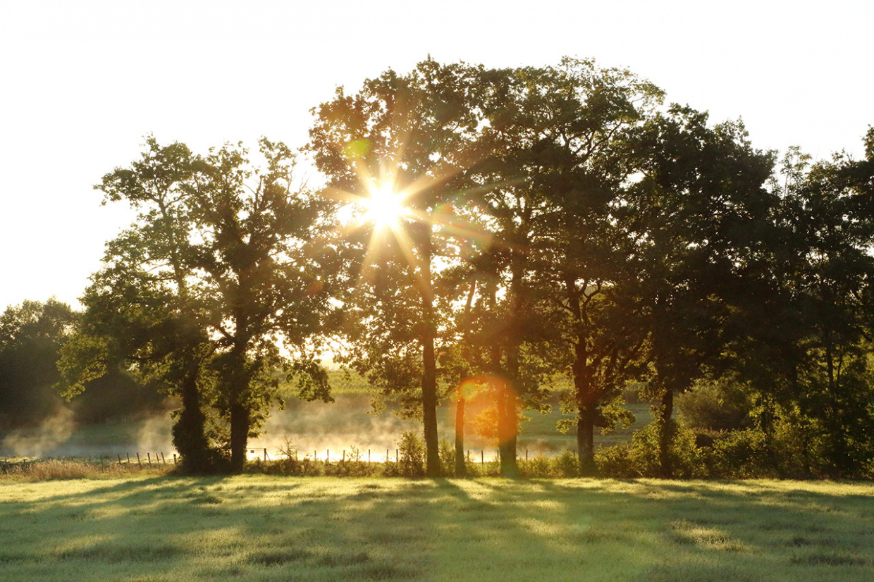 PNR_Perigord-Limousin