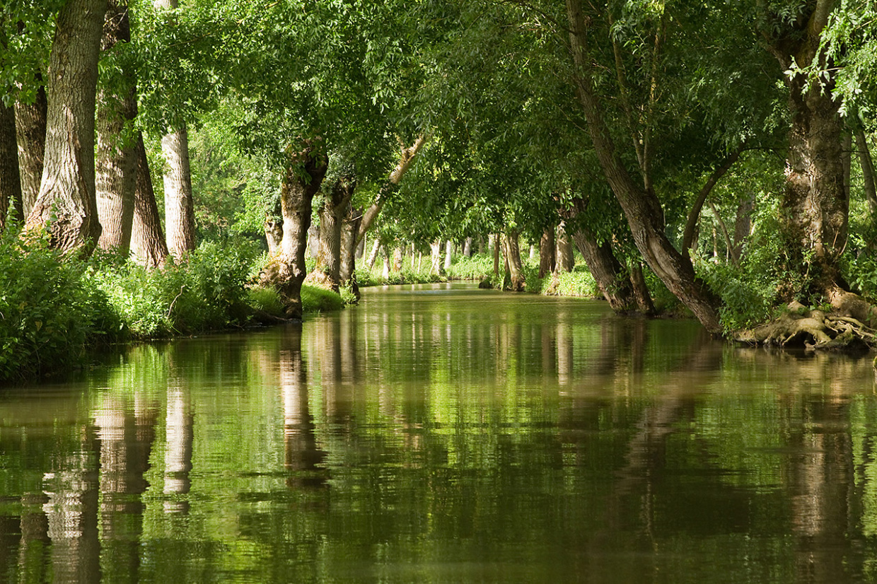 Marais_Poitevin_Coulon