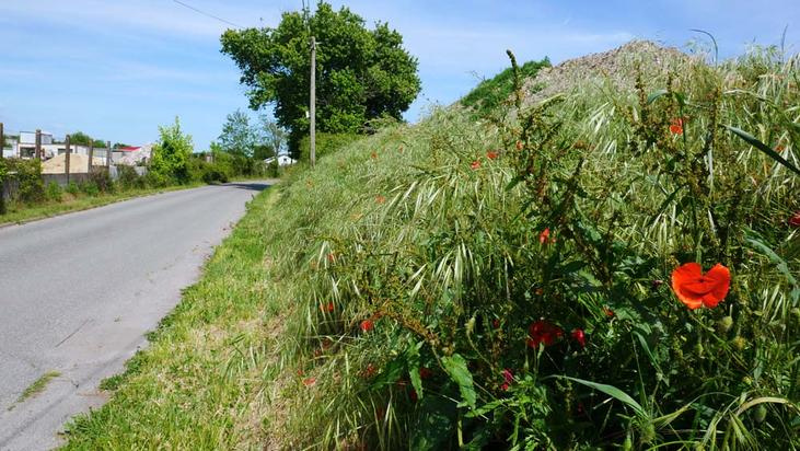 En route pour la déchetterie...