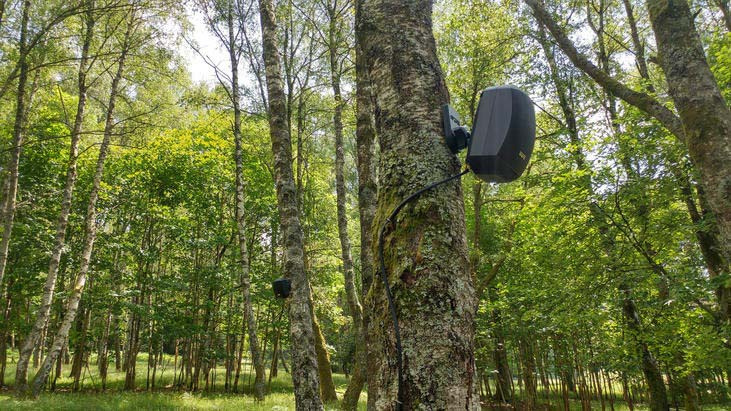 « Je siffle au bord du quai » de Dominique Petitgand