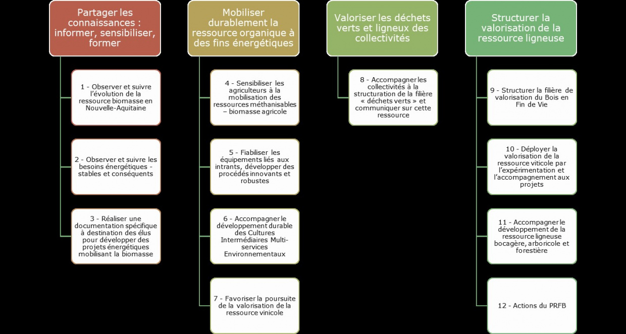 Plan action biomasse