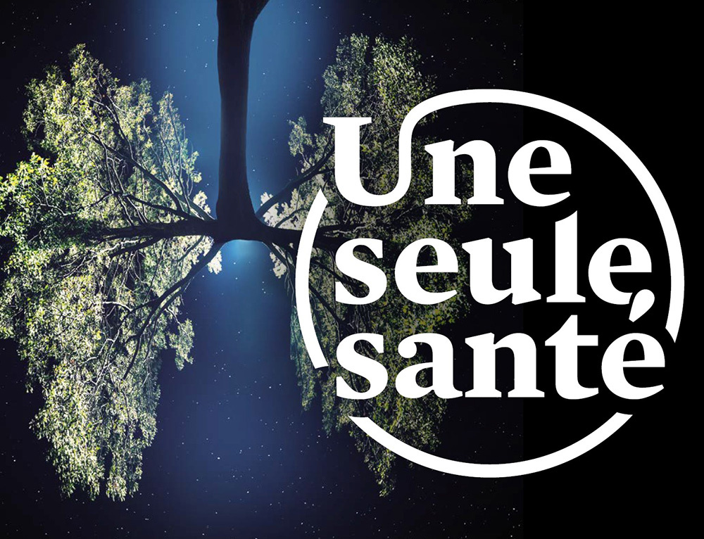 logo Une seule santé