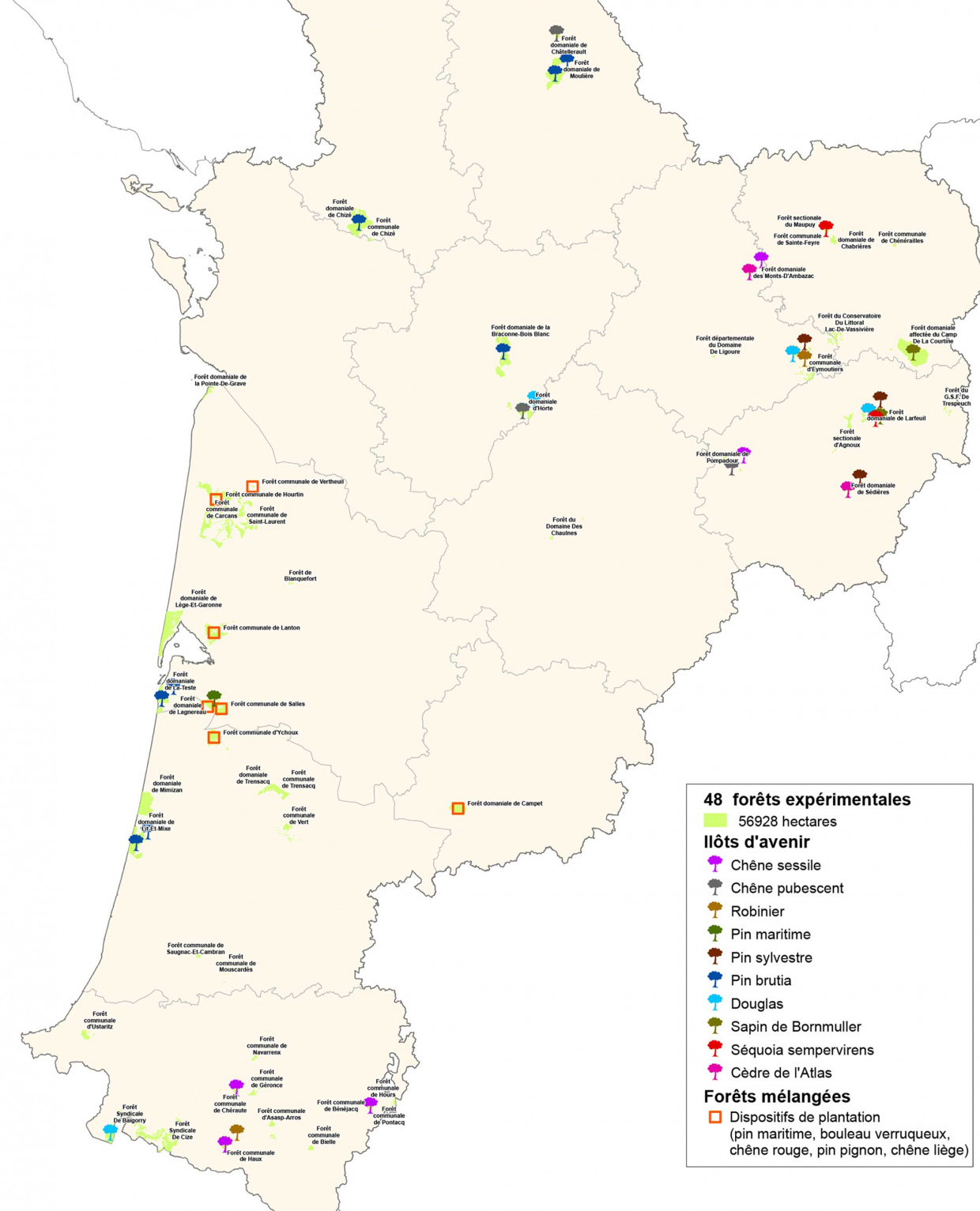 Ilots d'avenir et forêts mélangées