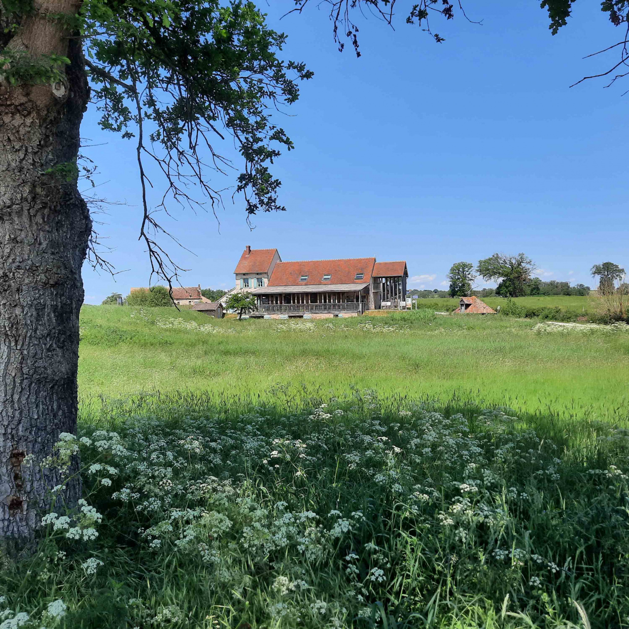 La réserve naturelle de l'Etang des Landes