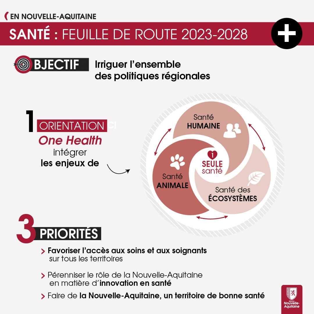 Infographie Feuille de route santé