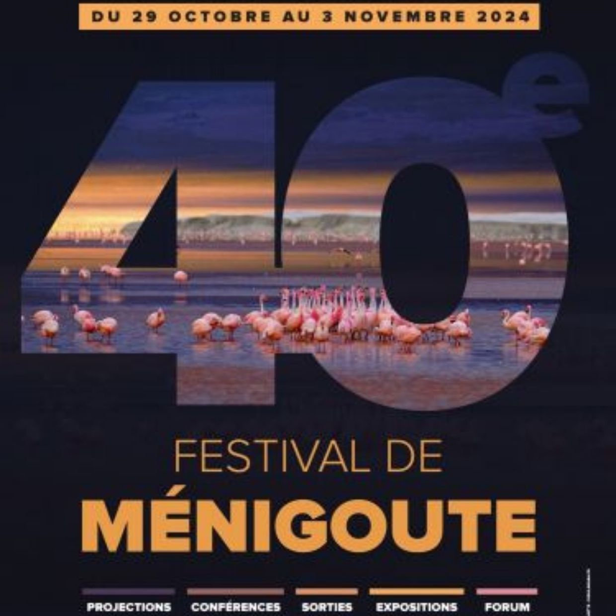 Affiche du festival avec le chiffre 40
