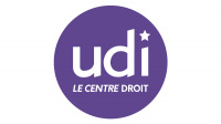 Logo UDI et Territoires