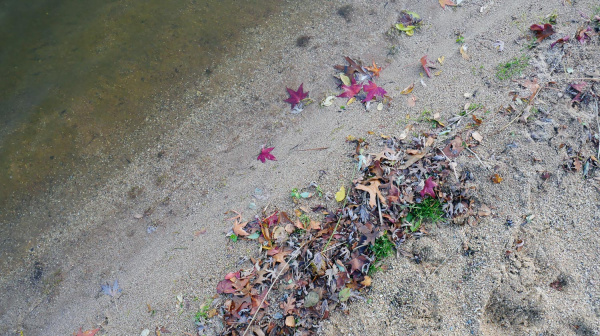 A la base de loisirs de la Courtille