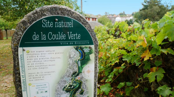 La coulée verte