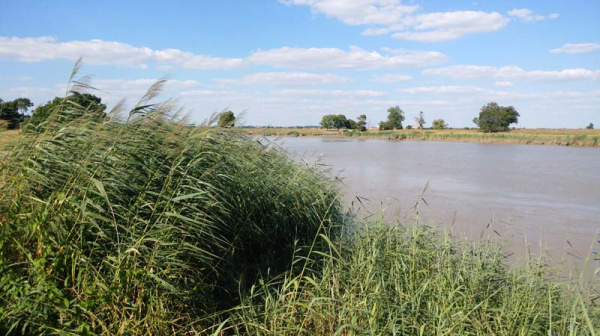 Carnet de Marche- Rochefort- Chemin de Charentes 6
