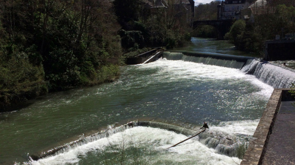 Muselières de l’eau