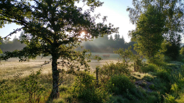 Le jour le plus long