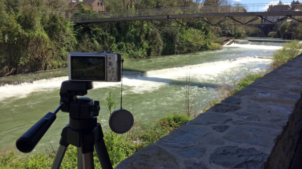 Le petit poisson va sortir