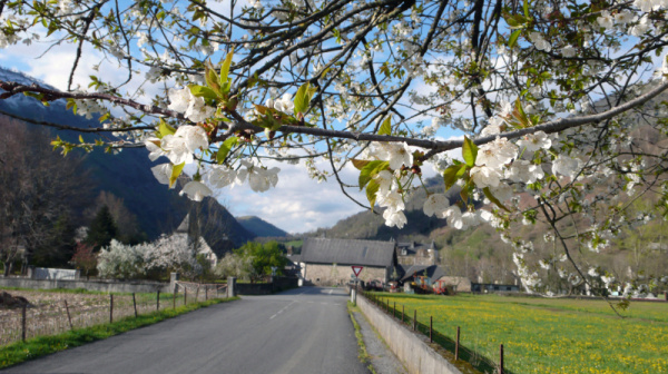 Bedous, village fleuri