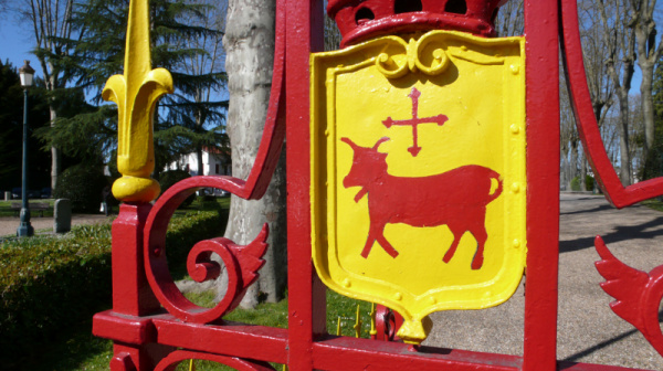 La vache, autrefois vénérée par les Celtes d’ici