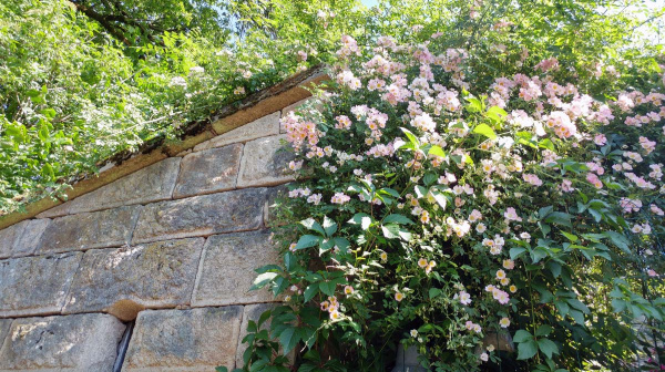 Un hameau fleuri 