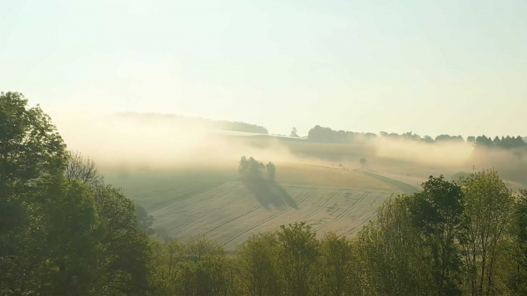 NÉO : Agriculture, les nouveaux paysans
