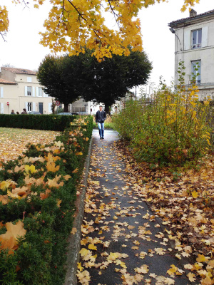 Un parc à l'automne avec des feuilles d'arbres qui tombent, à Cognac