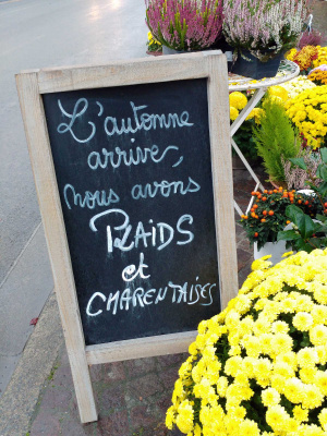 Panneau d'un fleuriste dans une rue du vieux Cognac