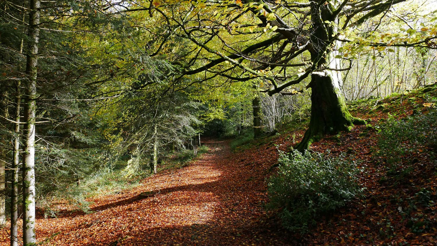 Le puy de Gaudy (647 mètres), un site naturel et archéologique