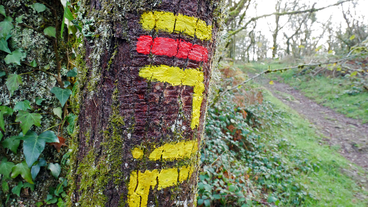 Le puy de Gaudy (647 mètres), un site naturel et archéologique