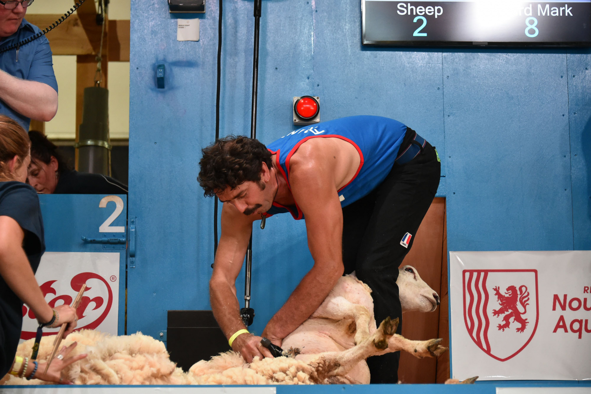 Championnat_mondial_de_tonte