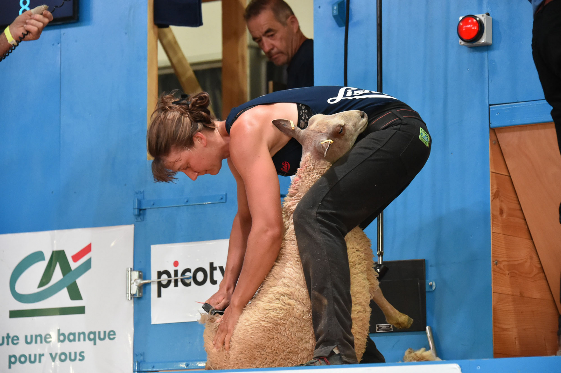 Championnat_mondial_de_tonte