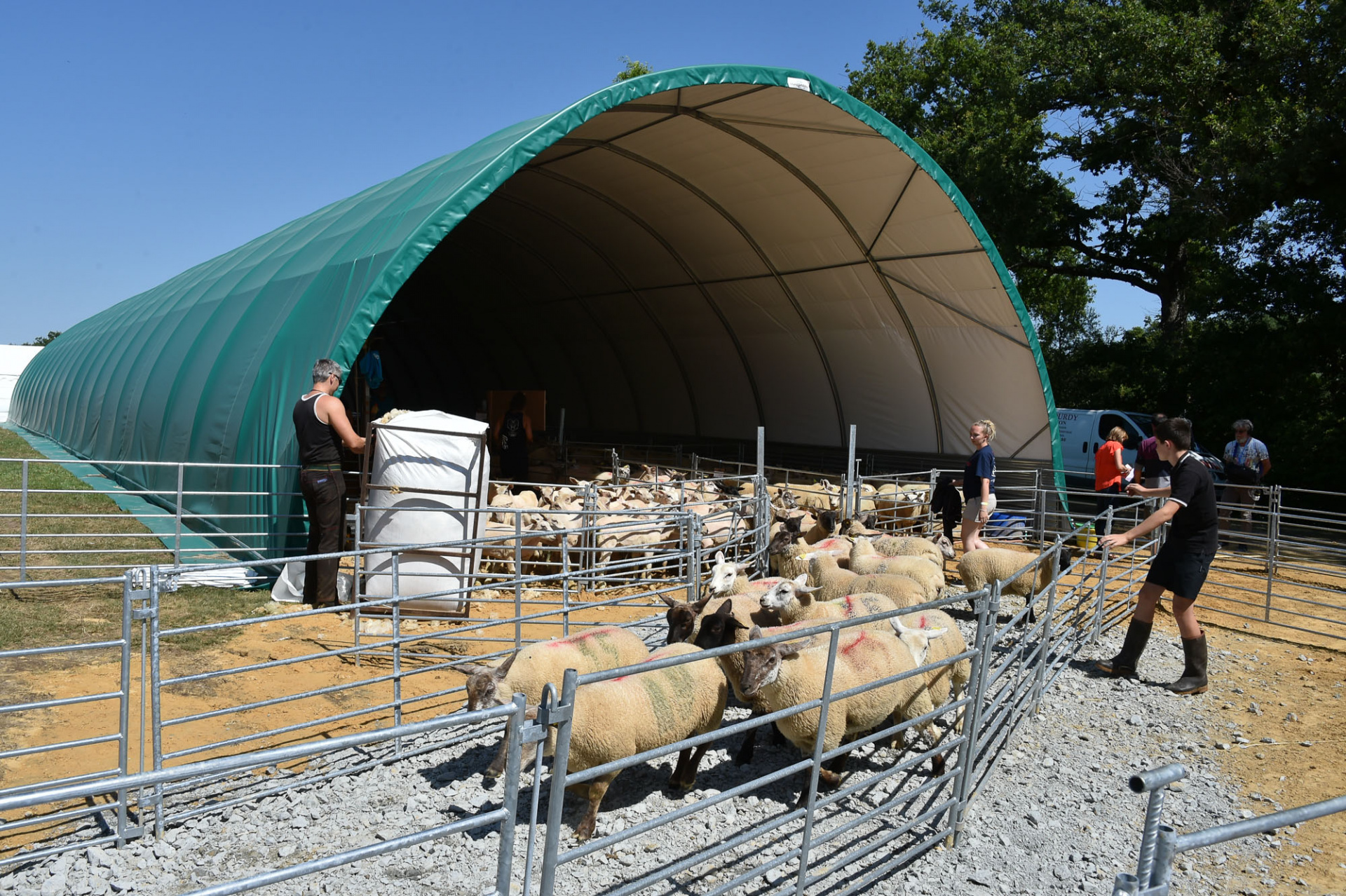 Championnat_mondial_de_tonte